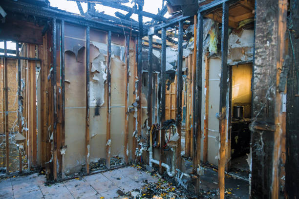 Professional Fire Damage Removal technician working in Princeton, TX