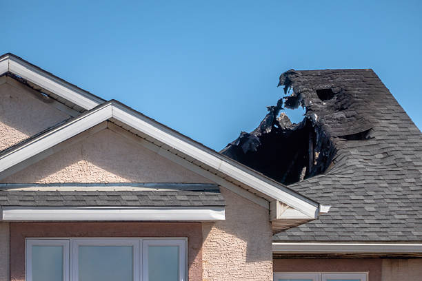 Top rated local Fire Damage Removal specialists in Princeton, TX